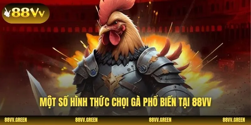 Một số hình thức chọi gà phổ biến tại 88VV