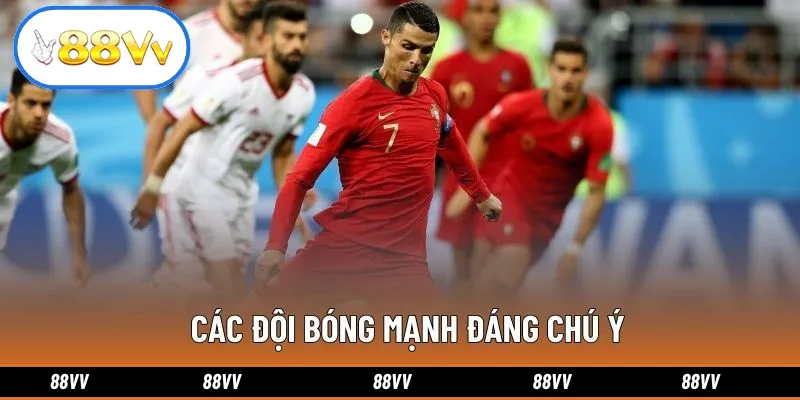 Các đội bóng mạnh đáng chú ý
