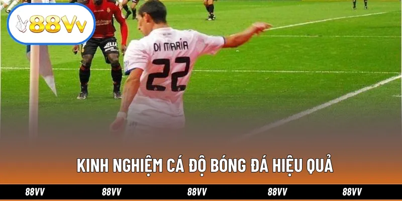 Kinh nghiệm cá độ bóng đá hiệu quả