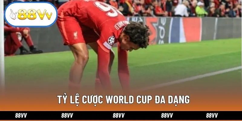 Tỷ lệ cược World Cup đa dạng