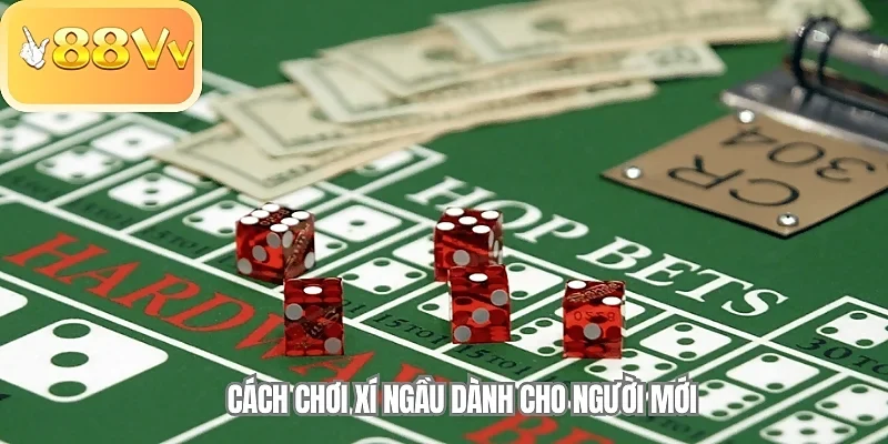 Cách chơi Xí Ngầu dành cho người mới